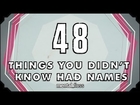 48 Names for Things You Didn't Know Had Names - mental_floss on YouTube (Ep. 26)