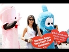 Sherlyn Chopra Spreads The Message For 'Animal Birth Control'