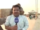 Monkey falls in love with reporter