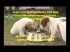Best Dog food | What is the best Dog food? | Natural Dog food reviews