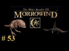 Let's Play Morrowind Part 53