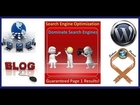 Search Engine Optimization Blog Case Study Continues 11