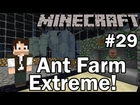 minecraft ant farm extreme