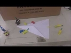 Pikmin Stop Motion