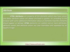 Attribute - HTML Tutorial with example - willvick.com