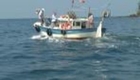 Karadeniz'in kadın balıkçıları hayran bırakıyor