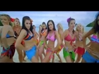 Yevadu Telugu Movie Oye Oye Video Song